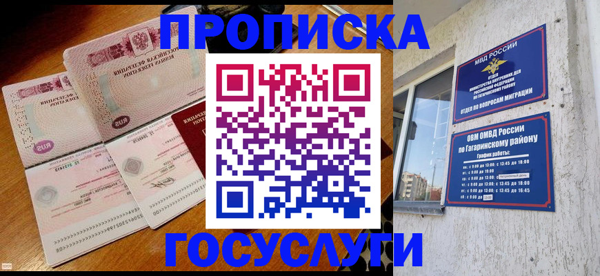 где прописаться в Чехове